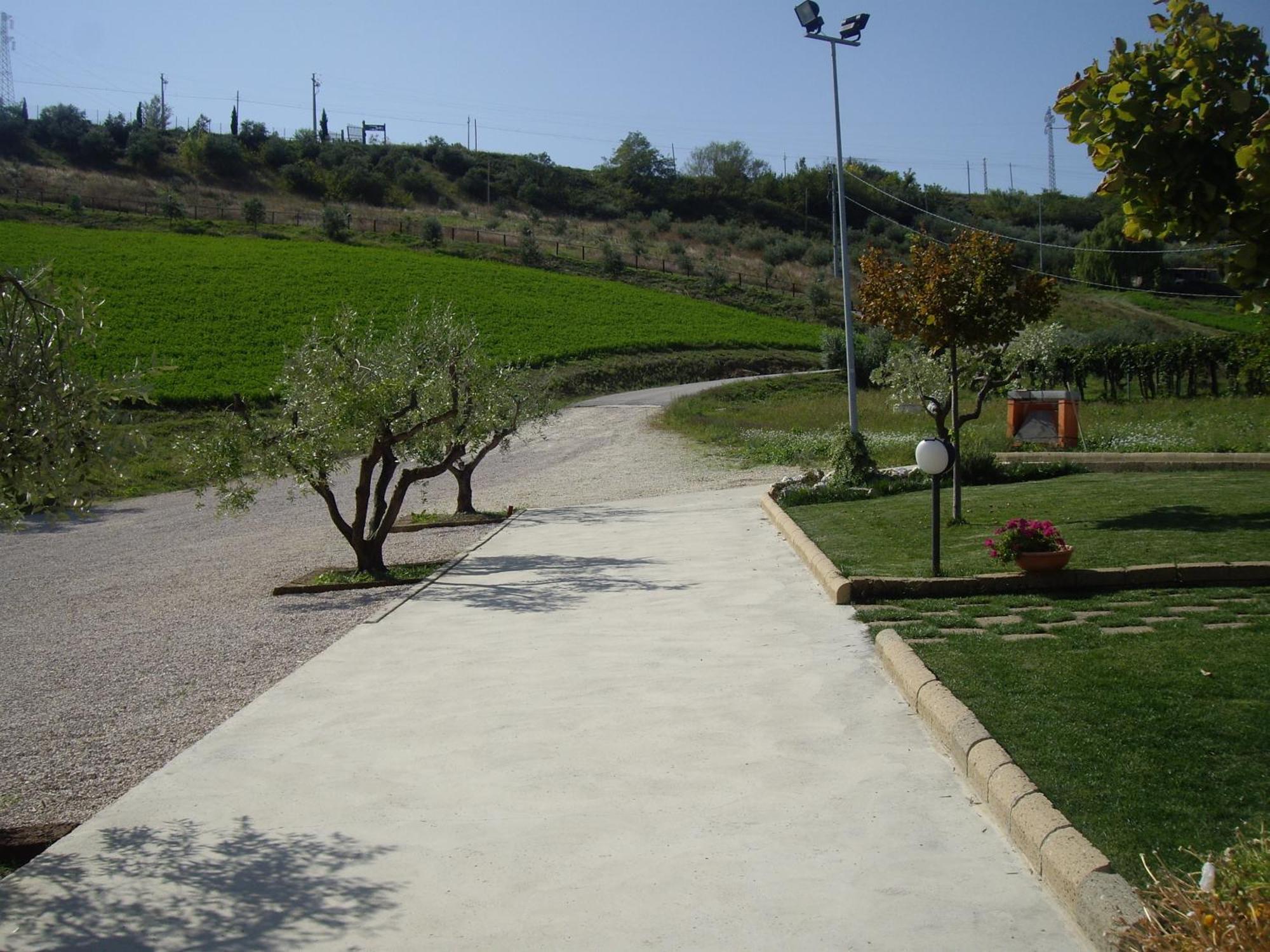 Agriturismo Il Borgo Degli Ulivi روزيتو ديلي أبروتسي المظهر الخارجي الصورة