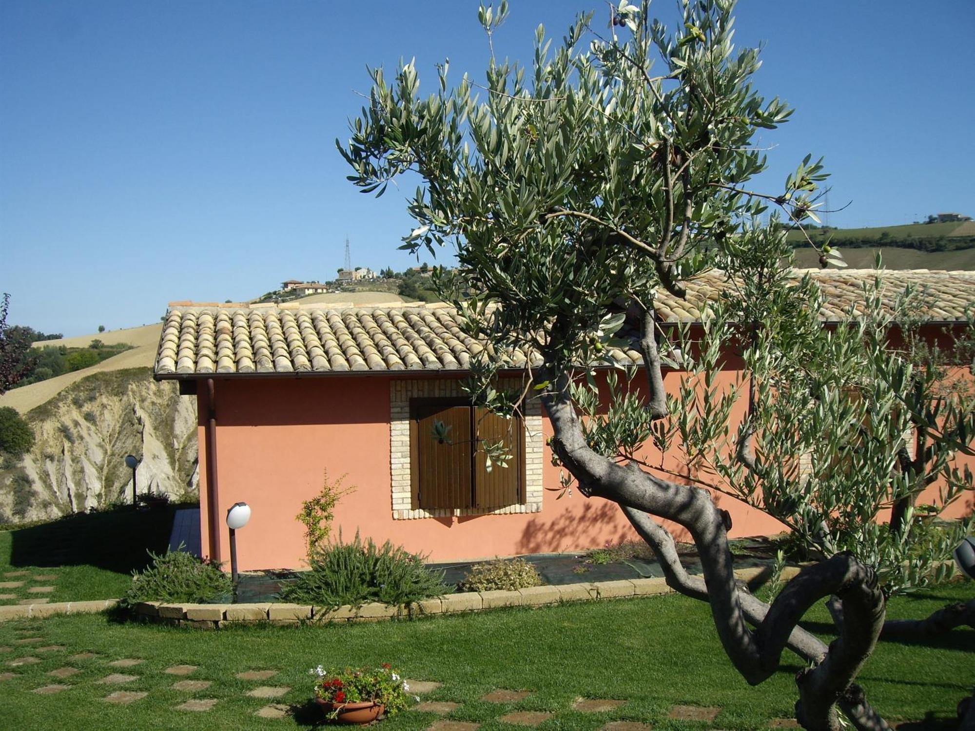 Agriturismo Il Borgo Degli Ulivi روزيتو ديلي أبروتسي المظهر الخارجي الصورة