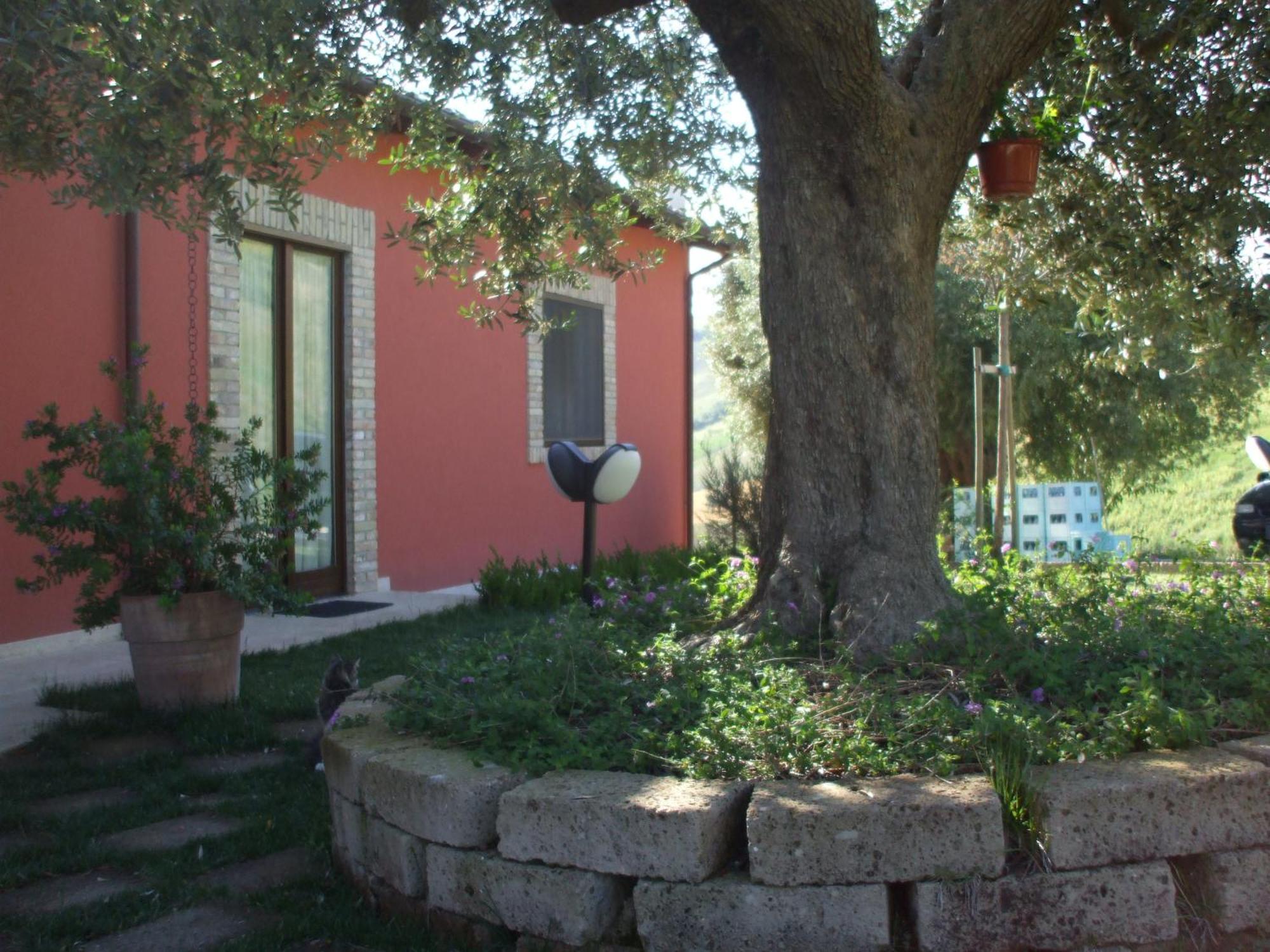 Agriturismo Il Borgo Degli Ulivi روزيتو ديلي أبروتسي المظهر الخارجي الصورة