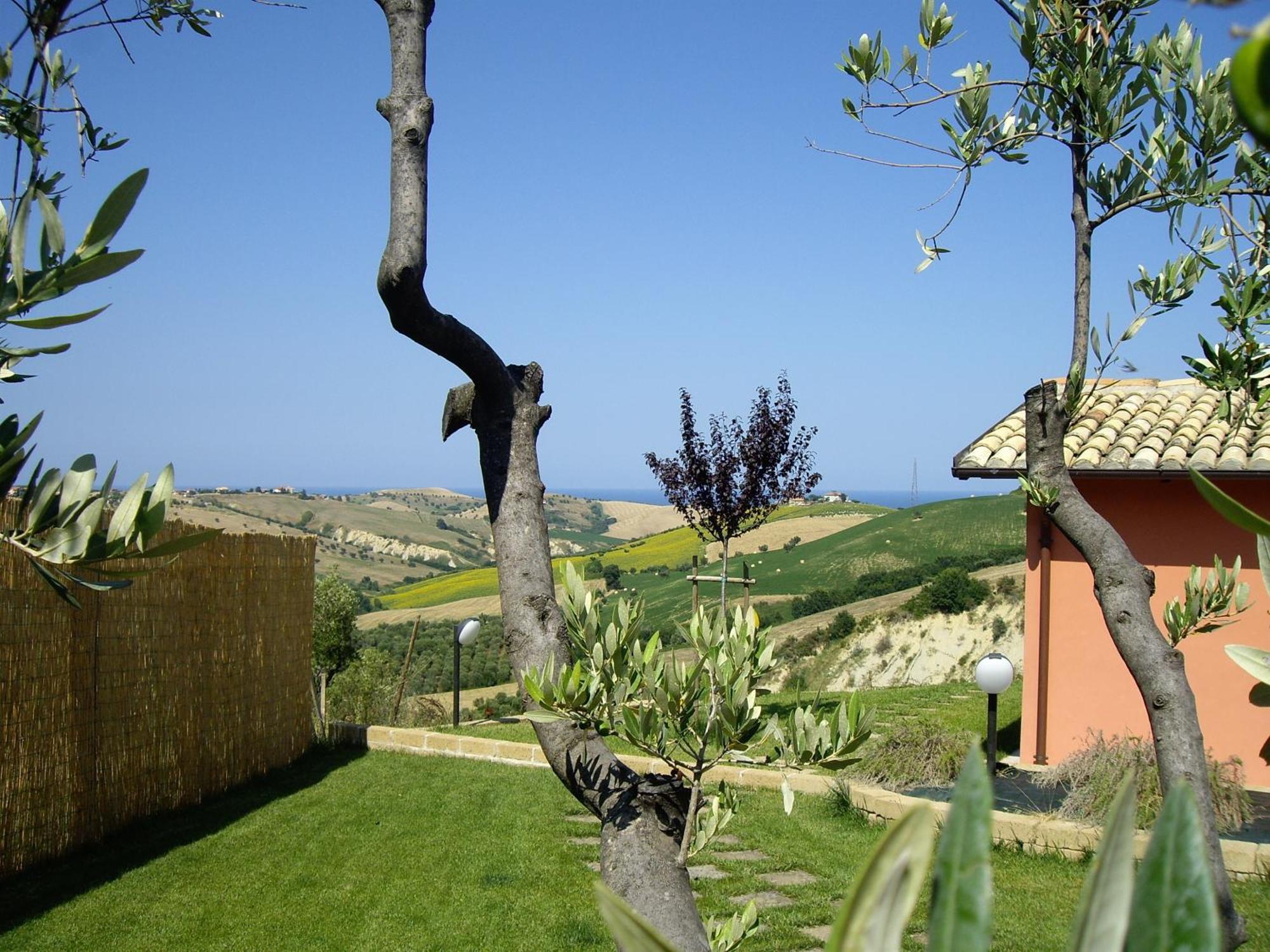 Agriturismo Il Borgo Degli Ulivi روزيتو ديلي أبروتسي المظهر الخارجي الصورة